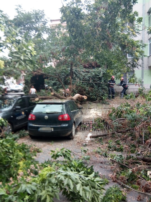 copac cazut peste o masina la tulcea intervin pompierii 665953 copac cazut peste o masina la tulcea intervin pompierii 665953