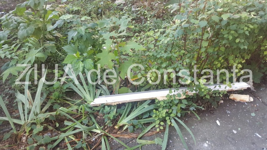trei persoane ranite in urma unei explozii pe bulevardul mircea cel batran din constanta 666459 trei persoane ranite in urma unei explozii pe bulevardul mircea cel batran din constanta 666459