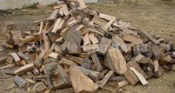 Brichete vegetale pentru foc Cum îi va subvenţiona Primăria Constanţa pe cei care se încălzesc cu lemne (document)