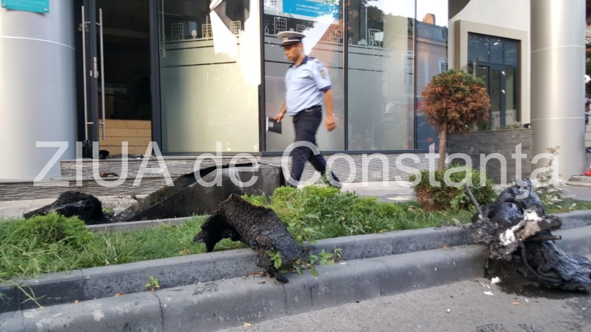 live imagini de la eveniment incendiu la sediul spit constanta echipaje de politie pompieri si medici live imagini de la eveniment incendiu la sediul spit constanta echipaje de politie pompieri si medici