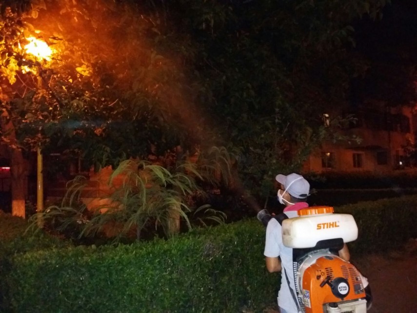 operatiune de dezinsectie in constanta cand si in ce zone se va actiona 667349 operatiune de dezinsectie in constanta cand si in ce zone se va actiona 667349