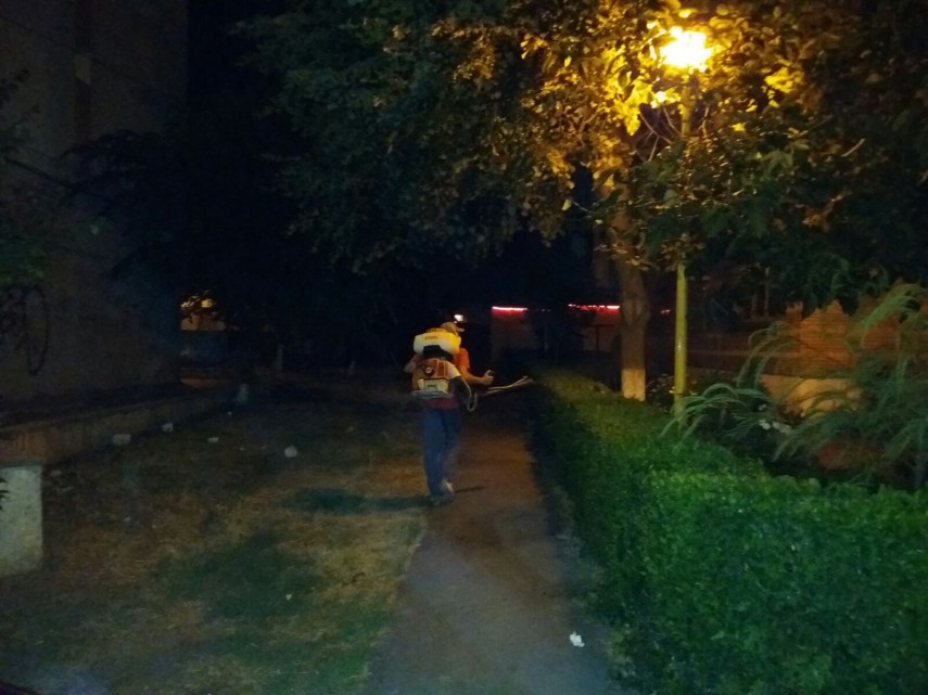 operatiune de dezinsectie in constanta cand si in ce zone se va actiona 667349 operatiune de dezinsectie in constanta cand si in ce zone se va actiona 667349