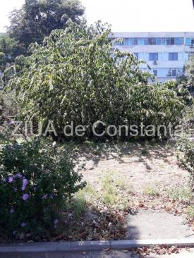 Bătaie de joc! Proprietarul terenului de pe bulevardul Lăpuşneanu, amendat cu 400 de lei de Poliţia Locală