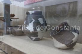 Istoria Dobrogei - populație - popoare   Cultura Boian din epoca neoliticului mijlociu         