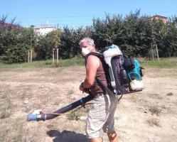 „Trees need people. Constanța Restart“ Tratament de specialitate pentru copacii plantați până acum în Constanța