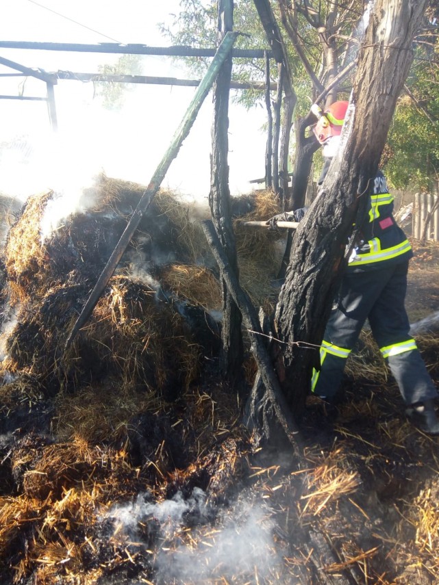 tulcea incendiu in localitatea nicolae balcescu o femeie a avut nevoie de ajutorul medicilor galerie tulcea incendiu in localitatea nicolae balcescu o femeie a avut nevoie de ajutorul medicilor galerie