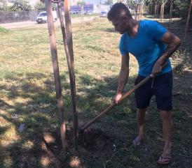 „Trees need people. Constanţa Restart“ Copacii plantaţi în cartierul Km 4-5, îngrijiţi cu responsabilitate (galerie foto)