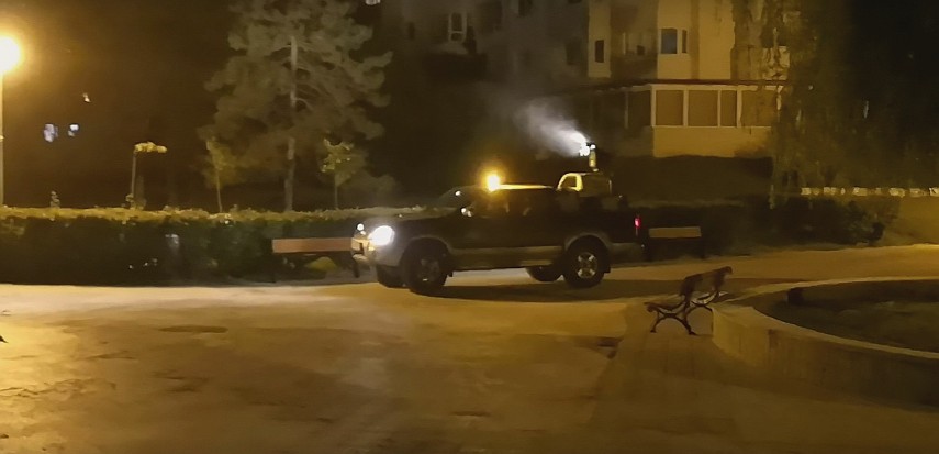 primaria constanta continua actiunea de dezinsectie 668531 primaria constanta continua actiunea de dezinsectie 668531