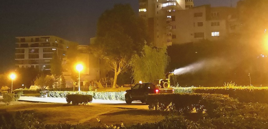 primaria constanta continua actiunea de dezinsectie 668531 primaria constanta continua actiunea de dezinsectie 668531