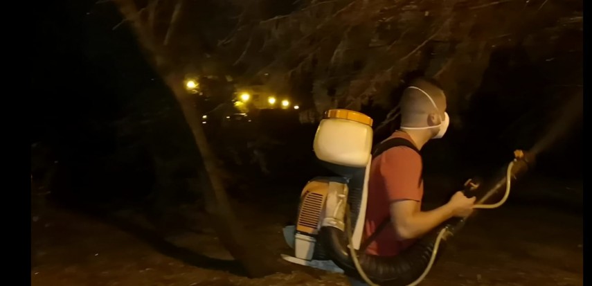 primaria constanta continua actiunea de dezinsectie 668531 primaria constanta continua actiunea de dezinsectie 668531