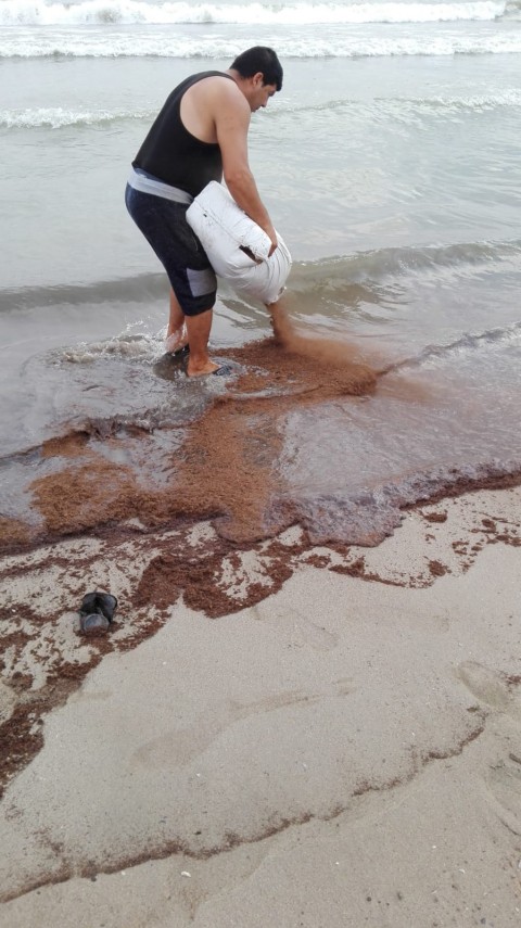 portiune de plaja de la mangalia inchisa dupa ce a fost poluata cu hidrocarburi ce masuri au fost luate portiune de plaja de la mangalia inchisa dupa ce a fost poluata cu hidrocarburi ce masuri au fost luate
