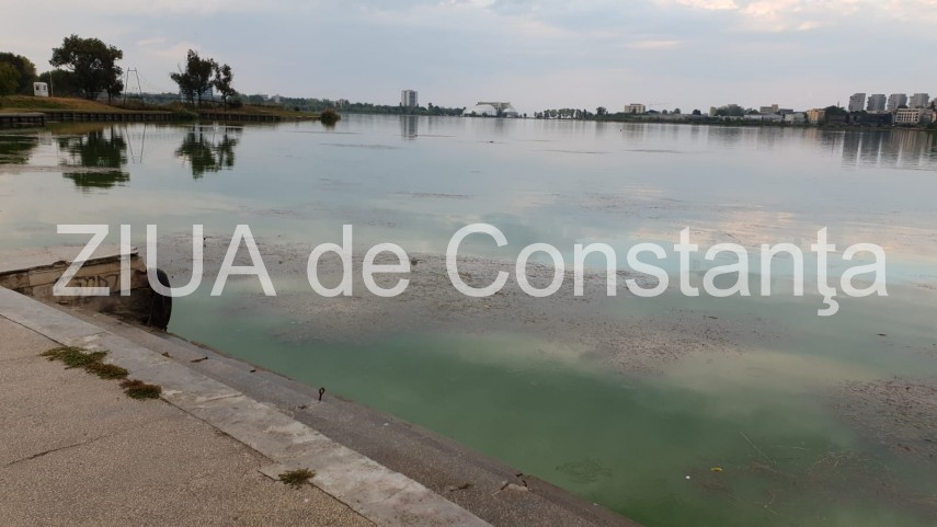 imagini de la eveniment copil de 10 ani cazut in lacul tabacarie in zona city mall constanta intervine imagini de la eveniment copil de 10 ani cazut in lacul tabacarie in zona city mall constanta intervine