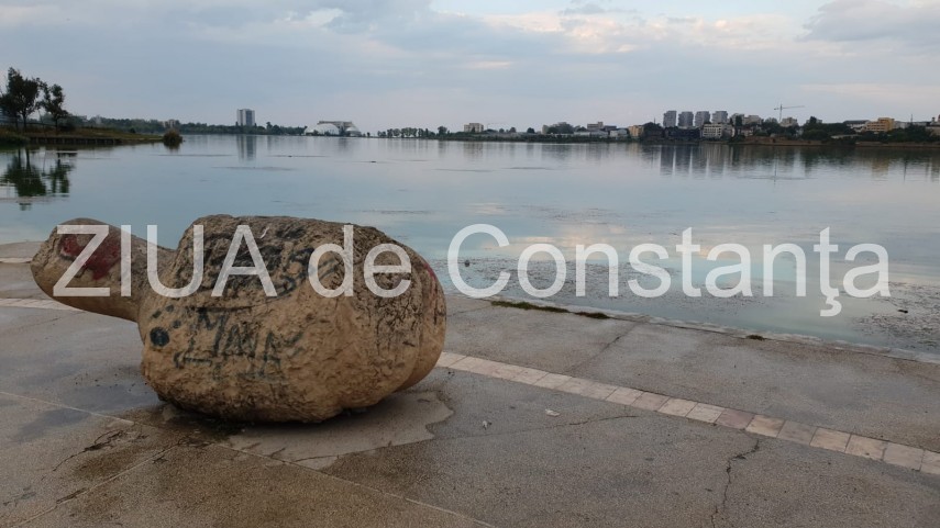 imagini de la eveniment copil de 10 ani cazut in lacul tabacarie in zona city mall constanta intervine imagini de la eveniment copil de 10 ani cazut in lacul tabacarie in zona city mall constanta intervine