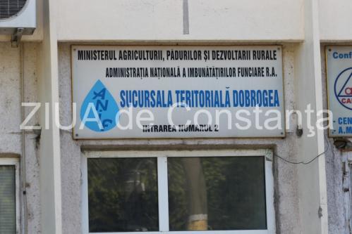Declarații de avere Constanța Lia Nedea, director la Agenția Națională De Îmbunătățiri Funciare, deține o casă și o mașină (DOCUMENTE)