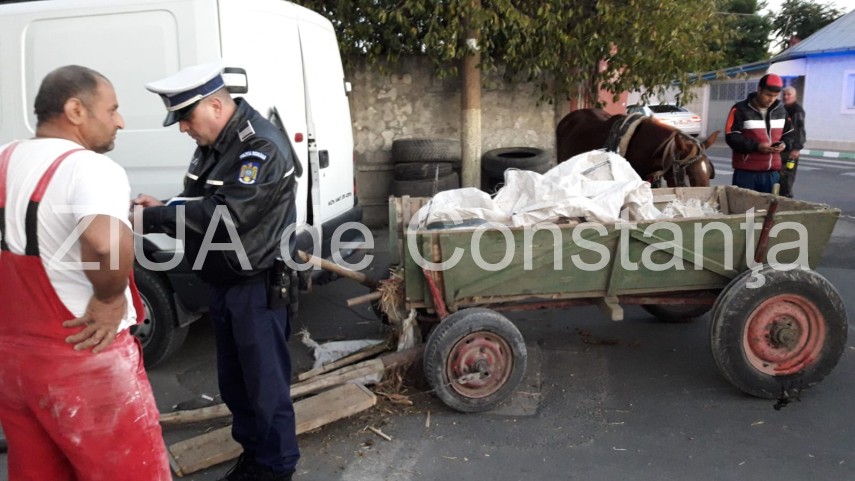 imagini de la eveniment accident rutier mai putin obisnuit la navodari un cal fara proprietar a intrat imagini de la eveniment accident rutier mai putin obisnuit la navodari un cal fara proprietar a intrat