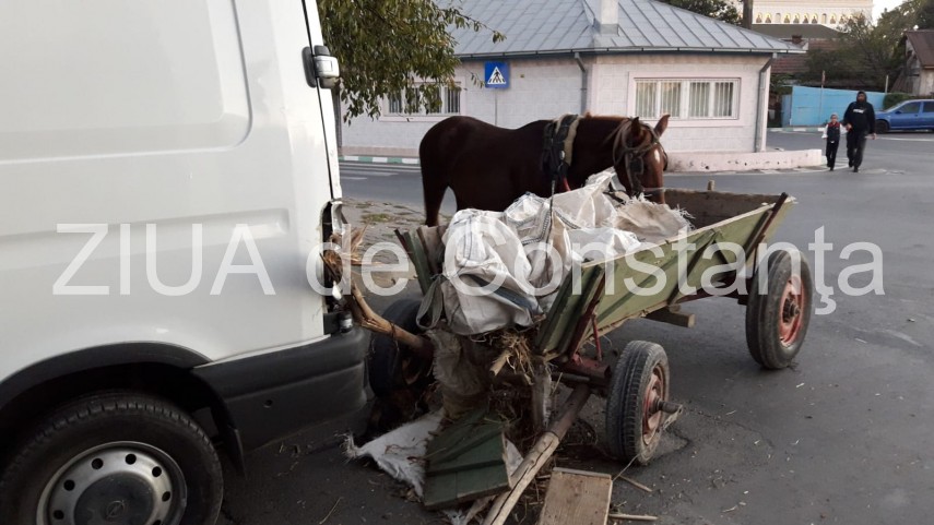 imagini de la eveniment accident rutier mai putin obisnuit la navodari un cal fara proprietar a intrat imagini de la eveniment accident rutier mai putin obisnuit la navodari un cal fara proprietar a intrat