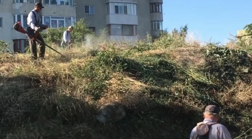 a demarat igienizarea stadionului farul din constanta cine efectueaza lucrarile 670664 a demarat igienizarea stadionului farul din constanta cine efectueaza lucrarile 670664