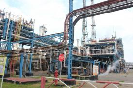 Program de burse în valoare de 100.000 de dolari, lansat de KMG International