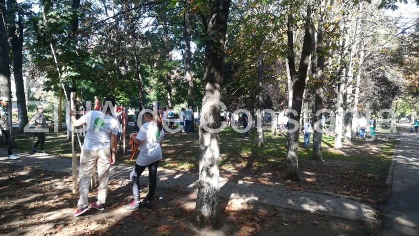 imagini de la eveniment actiunea de montare a tutorilor si de ingrijire a copacilor continua in parcul imagini de la eveniment actiunea de montare a tutorilor si de ingrijire a copacilor continua in parcul