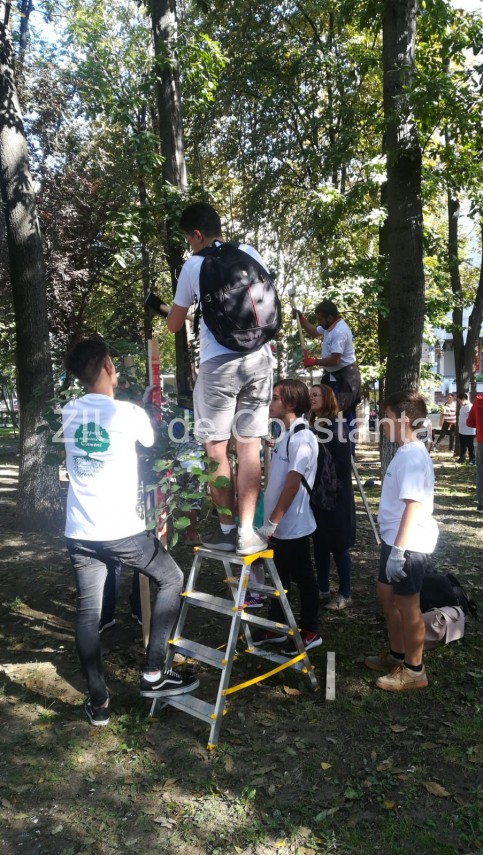 imagini de la eveniment actiunea de montare a tutorilor si de ingrijire a copacilor continua in parcul imagini de la eveniment actiunea de montare a tutorilor si de ingrijire a copacilor continua in parcul