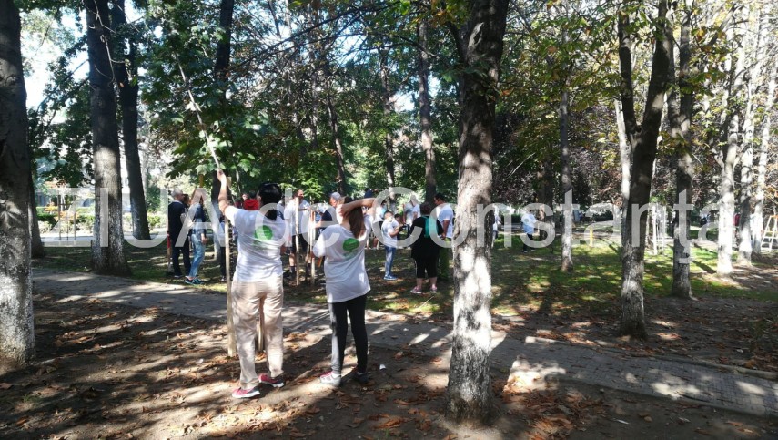 imagini de la eveniment actiunea de montare a tutorilor si de ingrijire a copacilor continua in parcul imagini de la eveniment actiunea de montare a tutorilor si de ingrijire a copacilor continua in parcul