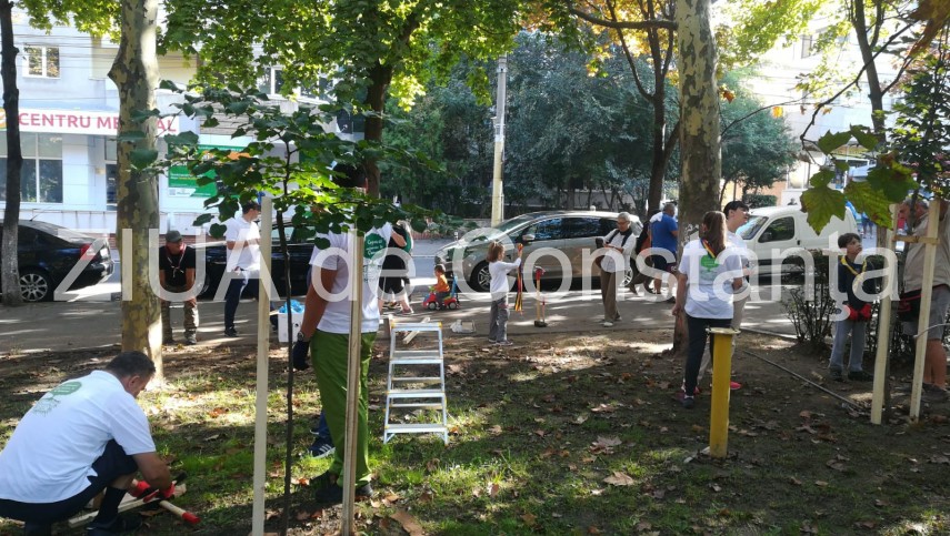 imagini de la eveniment actiunea de montare a tutorilor si de ingrijire a copacilor continua in parcul imagini de la eveniment actiunea de montare a tutorilor si de ingrijire a copacilor continua in parcul