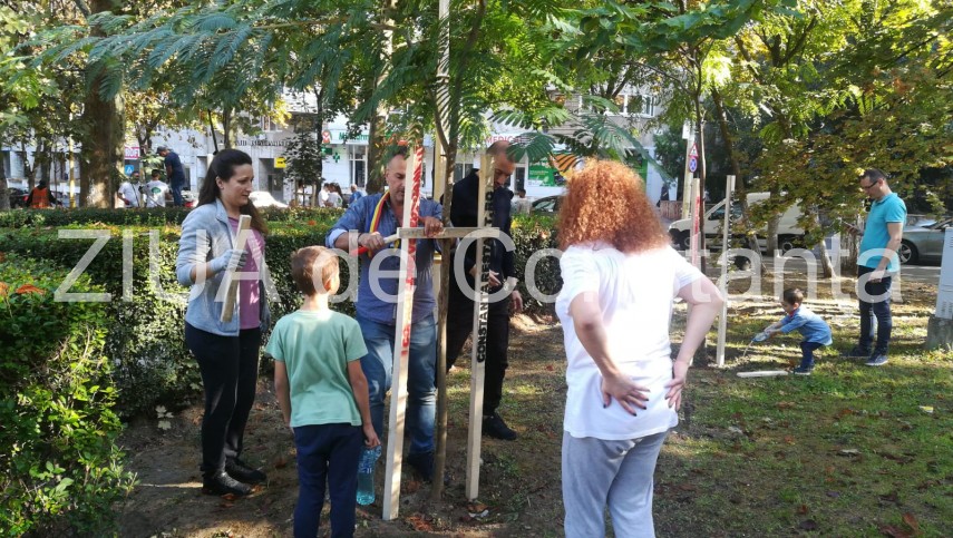 imagini de la eveniment actiunea de montare a tutorilor si de ingrijire a copacilor continua in parcul imagini de la eveniment actiunea de montare a tutorilor si de ingrijire a copacilor continua in parcul