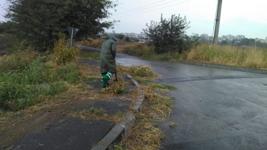 toamna aceasta curatam constanta noastra cartierele din constanta vor fi curatate infrumusetate si igienizate toamna aceasta curatam constanta noastra cartierele din constanta vor fi curatate infrumusetate si igienizate