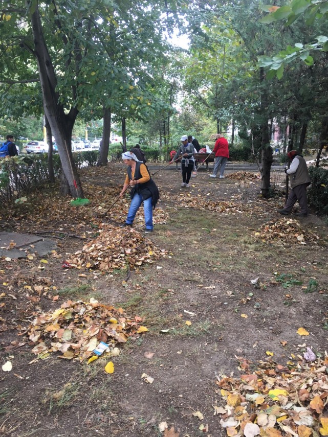 toamna aceasta curatam constanta noastra cartierele din constanta vor fi curatate infrumusetate si igienizate toamna aceasta curatam constanta noastra cartierele din constanta vor fi curatate infrumusetate si igienizate