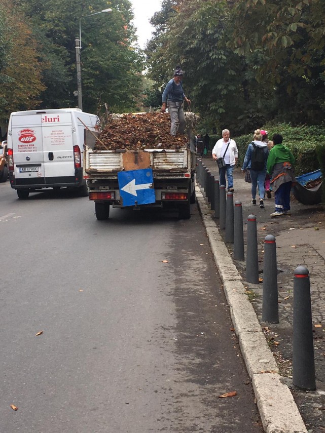toamna aceasta curatam constanta noastra cartierele din constanta vor fi curatate infrumusetate si igienizate toamna aceasta curatam constanta noastra cartierele din constanta vor fi curatate infrumusetate si igienizate
