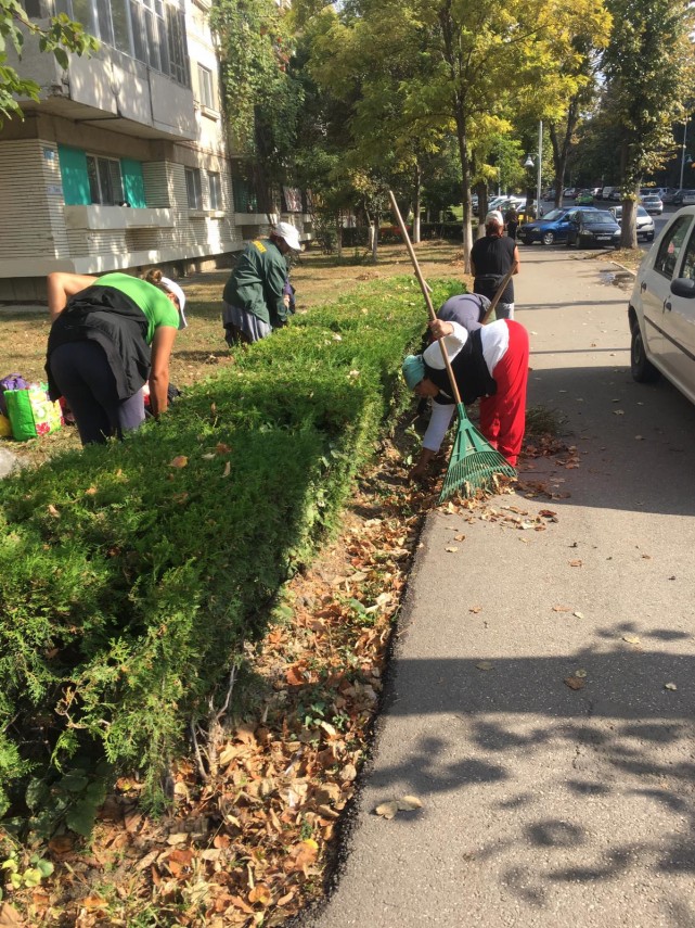 toamna aceasta curatam constanta noastra cartierele din constanta vor fi curatate infrumusetate si igienizate toamna aceasta curatam constanta noastra cartierele din constanta vor fi curatate infrumusetate si igienizate