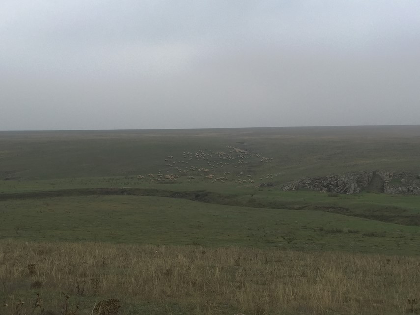 interviuri live povestea cetatii ulmetum scoasa la lumina de vasile parvan comuna pantelimon si mostenirea interviuri live povestea cetatii ulmetum scoasa la lumina de vasile parvan comuna pantelimon si mostenirea