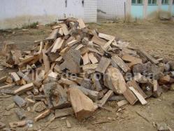 Baza Logistică Navală Constanța achiziționează lemne de foc (document)