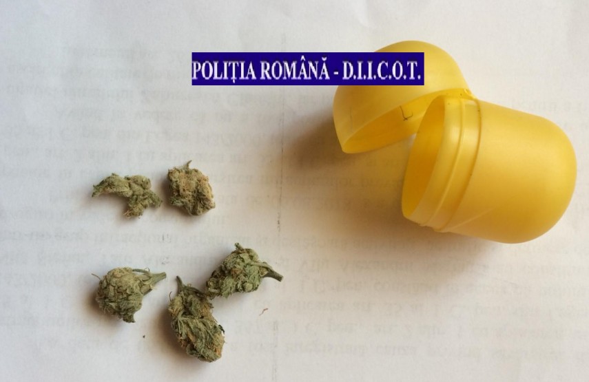perchezitii ale procurorilor diicot la suspecti de consum ilicit de droguri ce s a descoperit galerie perchezitii ale procurorilor diicot la suspecti de consum ilicit de droguri ce s a descoperit galerie