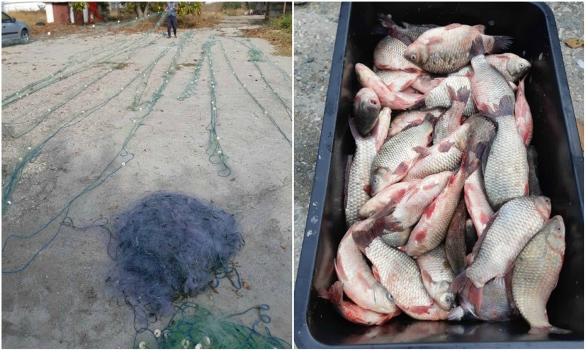 peste fara documente legale si plase monofilament confiscate de politistii de frontiera constanteni galerie peste fara documente legale si plase monofilament confiscate de politistii de frontiera constanteni galerie