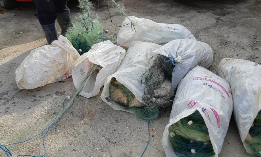 peste fara documente legale si plase monofilament confiscate de politistii de frontiera constanteni galerie peste fara documente legale si plase monofilament confiscate de politistii de frontiera constanteni galerie