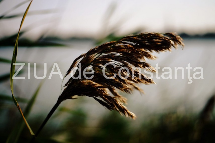 paleta de culori a toamnei revarsata in parcul tabacarie din constanta fotoreportaj 674422 paleta de culori a toamnei revarsata in parcul tabacarie din constanta fotoreportaj 674422