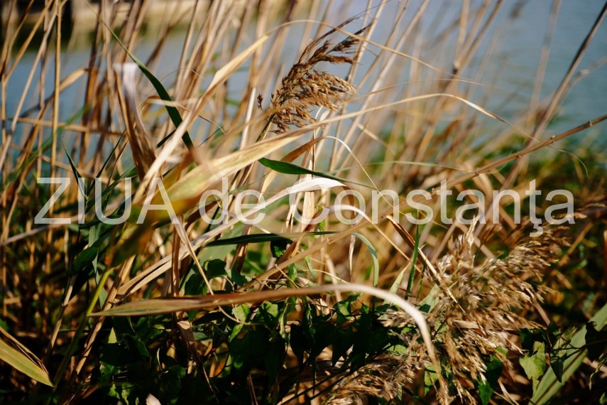 paleta de culori a toamnei revarsata in parcul tabacarie din constanta fotoreportaj 674422 paleta de culori a toamnei revarsata in parcul tabacarie din constanta fotoreportaj 674422