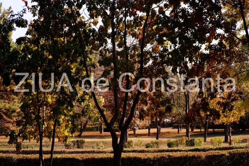 paleta de culori a toamnei revarsata in parcul tabacarie din constanta fotoreportaj 674422 paleta de culori a toamnei revarsata in parcul tabacarie din constanta fotoreportaj 674422