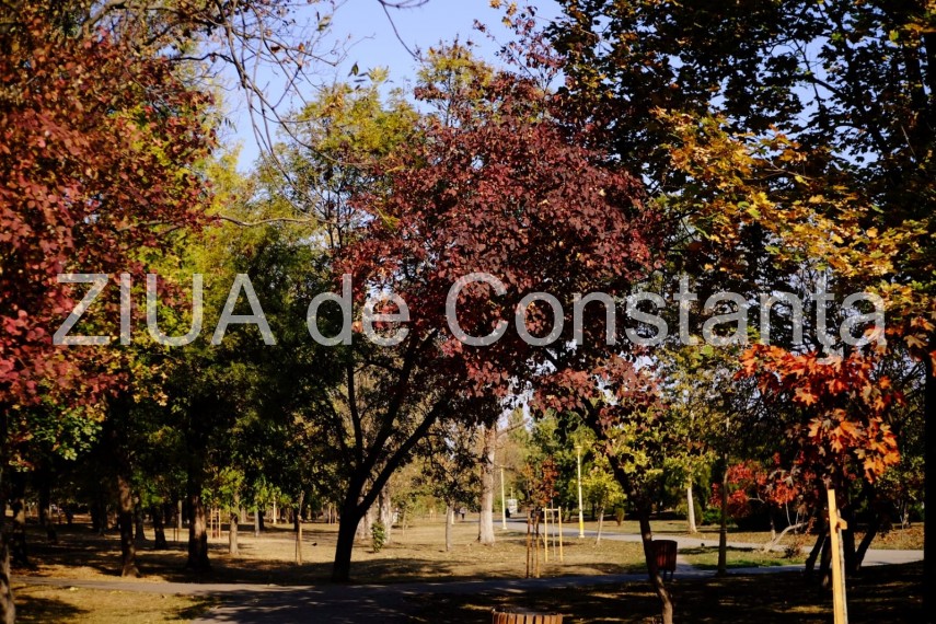 paleta de culori a toamnei revarsata in parcul tabacarie din constanta fotoreportaj 674422 paleta de culori a toamnei revarsata in parcul tabacarie din constanta fotoreportaj 674422