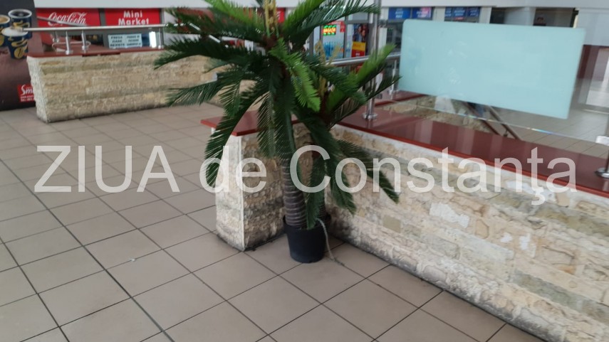 palmieri din plastic legati cu lant de podea in gara constanta 674504 palmieri din plastic legati cu lant de podea in gara constanta 674504