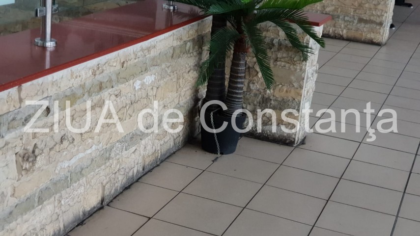 palmieri din plastic legati cu lant de podea in gara constanta 674504 palmieri din plastic legati cu lant de podea in gara constanta 674504