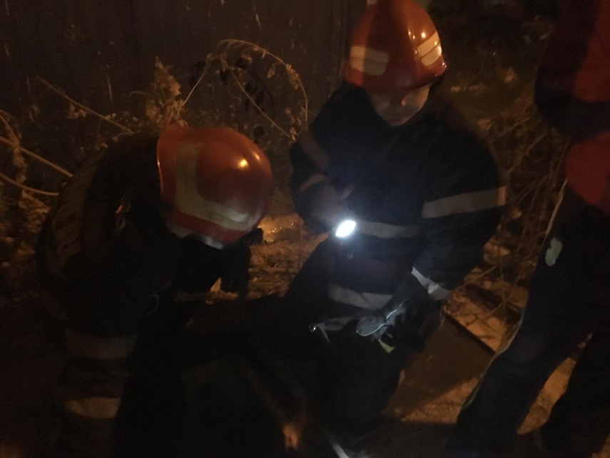 interventie isu delta tulcea pompieri isu delta tulcea salvare animal pompieri 675461 interventie isu delta tulcea pompieri isu delta tulcea salvare animal pompieri 675461