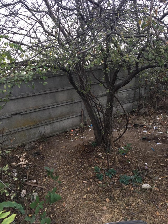 soferi sanctionati la constanta pentru oprirea in loc nepermis sau nu au achitat taxa de parcare ce alte soferi sanctionati la constanta pentru oprirea in loc nepermis sau nu au achitat taxa de parcare ce alte