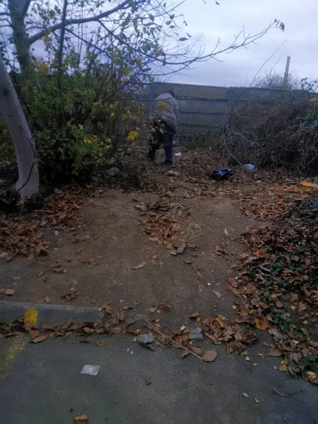 soferi sanctionati la constanta pentru oprirea in loc nepermis sau nu au achitat taxa de parcare ce alte soferi sanctionati la constanta pentru oprirea in loc nepermis sau nu au achitat taxa de parcare ce alte