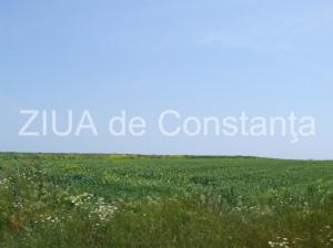 Listele complete Exproprieri în Constanța, Agigea și Valu lui Traian pentru modernizarea infrastructurii feroviare din Portul Constanța 