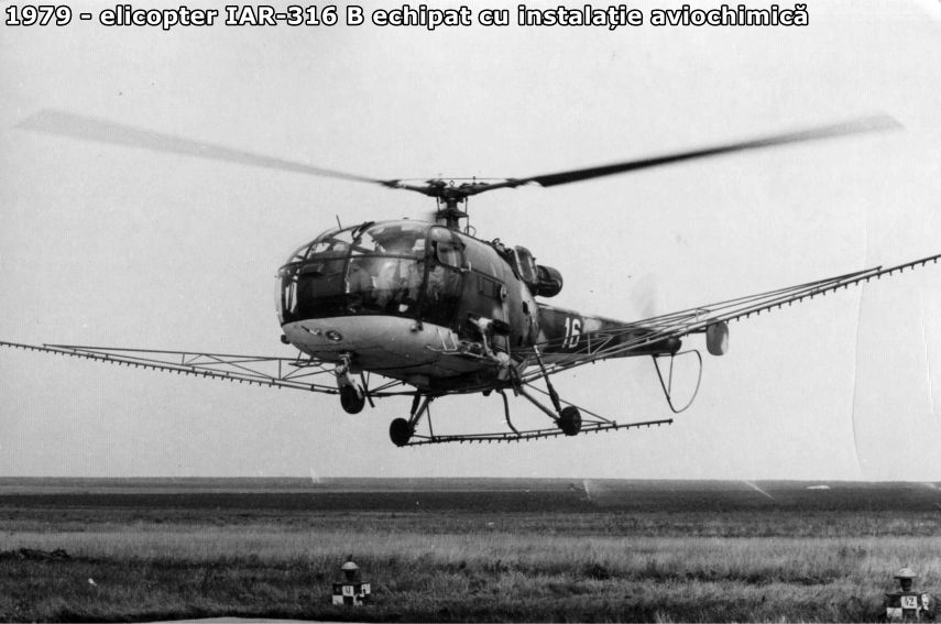 interviu cu un vultur galerie foto 676089 interviu cu un vultur galerie foto 676089