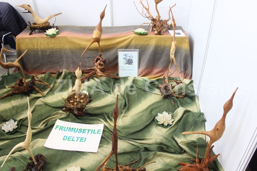 targ cu produse traditionale de ziua dobrogei la pavilionul expozitional ce surprize le sunt pregatite targ cu produse traditionale de ziua dobrogei la pavilionul expozitional ce surprize le sunt pregatite