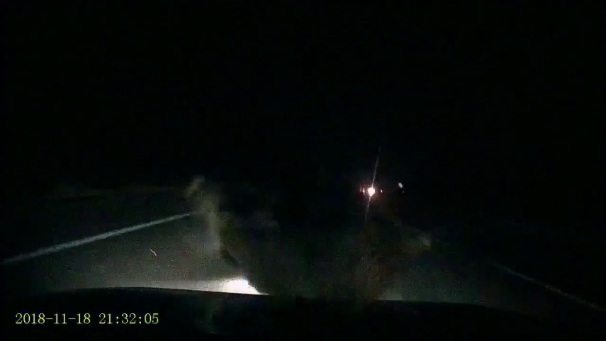 se intampla in romania impact frontal cu un porc mistret totul a fost filmat galerie foto 677202 se intampla in romania impact frontal cu un porc mistret totul a fost filmat galerie foto 677202