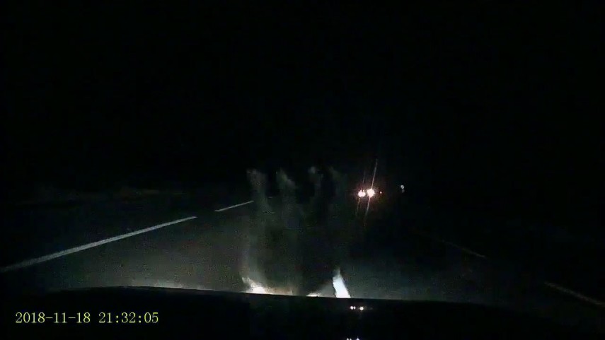 se intampla in romania impact frontal cu un porc mistret totul a fost filmat galerie foto 677202 se intampla in romania impact frontal cu un porc mistret totul a fost filmat galerie foto 677202